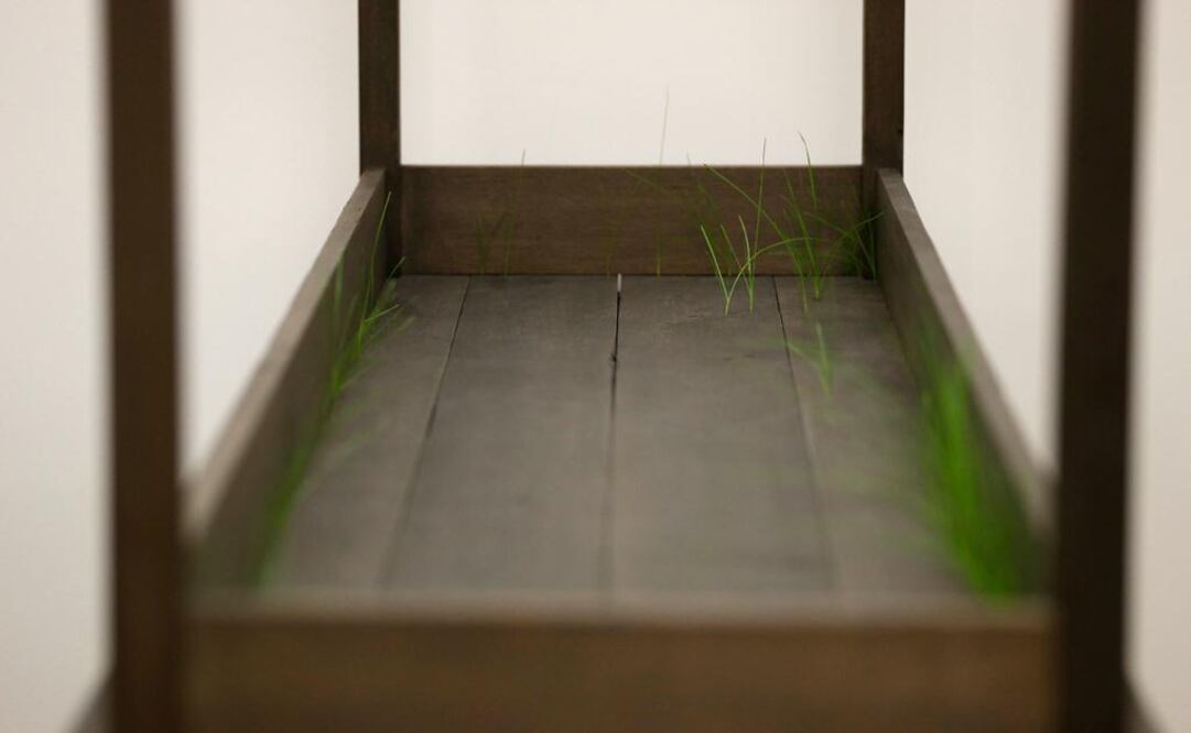 "Plegaria muda" muestra múltiples mesas colocadas con las patas hacia arriba sobre otras mesas, de las cuales crecen hierbajos verdes. FOTO: AP