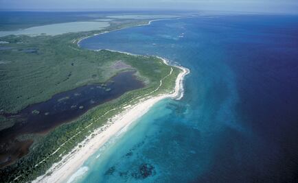 The secret treasure hidden in the ocean