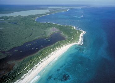 The secret treasure hidden in the ocean