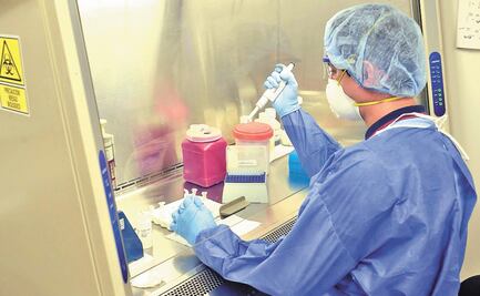 Henipavirus: ¿Qué es y cuáles son sus síntomas? 