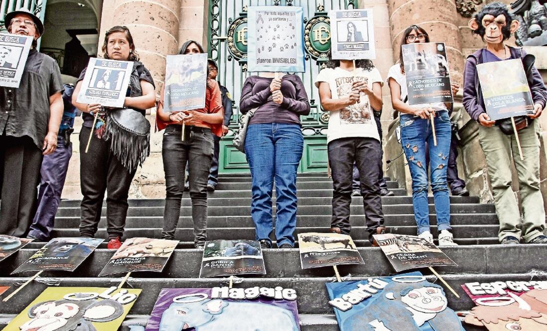 Por el deceso de Bantú y otros grandes animales en el zoológico de Chapultepec activistas se manifestaron frente a la Asamblea en varias ocasiones (ARCHIVO EL UNIVERSAL)