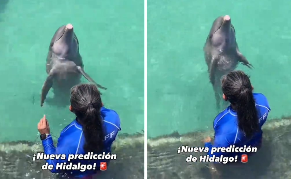 Foto: Captura de pantalla en TikTok.