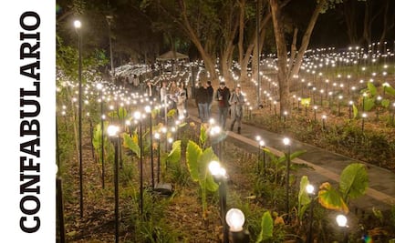 Lozano-Hemmer; bosque intervenido