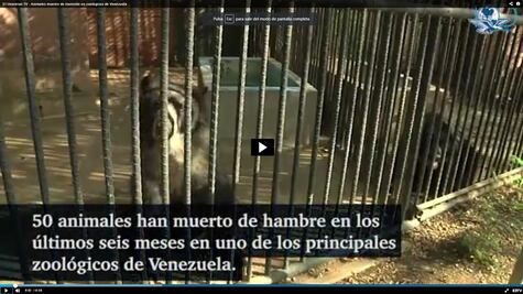 Animales mueren de inanición en zoológicos de Venezuela