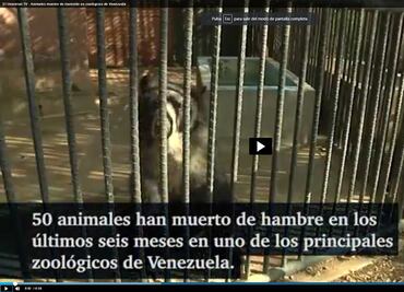 Animales mueren de inanición en zoológicos de Venezuela