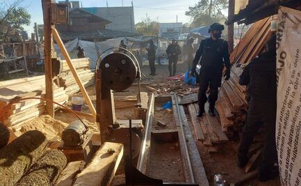 Desmantelan centro de acopio de madera por operación clandestina en Tlalpan