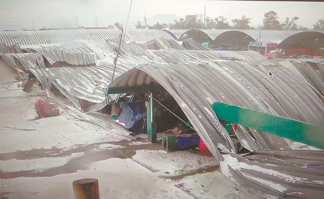 A las 18:17 horas y a través del C2 de la Central de Abasto y C5 de la Secretaría de Seguridad Ciudadana, se reportó el colapso de la techumbre de la zona de flores y hortalizas. Fotos: ESPECIALES