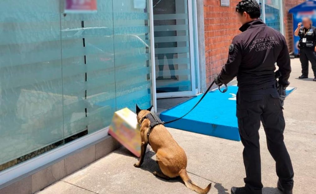 Detección de metanfetamina en servicio de mensajería en Michoacán. Foto: Fiscalía General de la República (FGR).