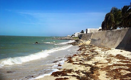 Playas de Yucatán permanecen libres de grandes manchas de sargazo