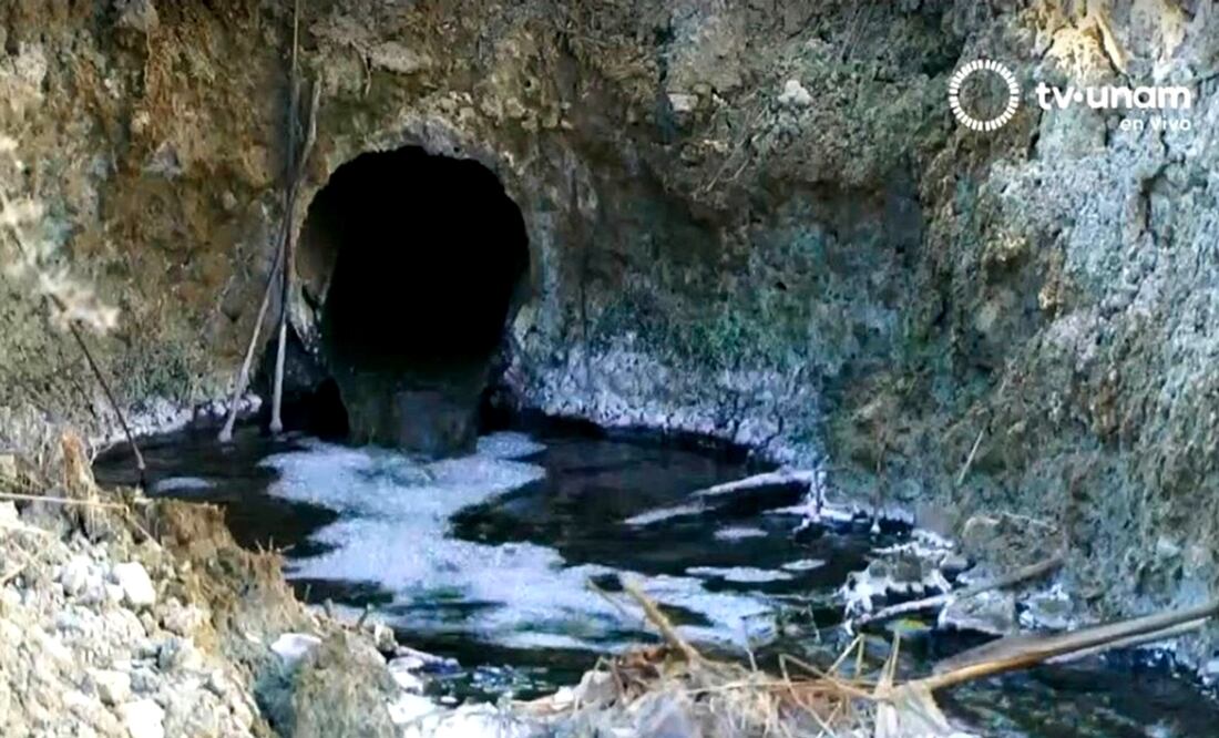 Foto: Cortesía DGCS UNAM