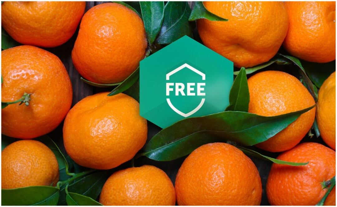 Este software no incluirá publicidad, pero a cambio tendremos que ceder datos para mejorar la máquina de aprendizaje de sus productos