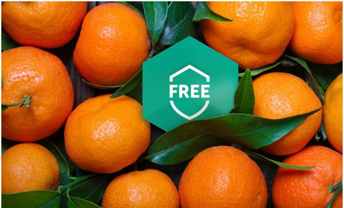 Este software no incluirá publicidad, pero a cambio tendremos que ceder datos para mejorar la máquina de aprendizaje de sus productos