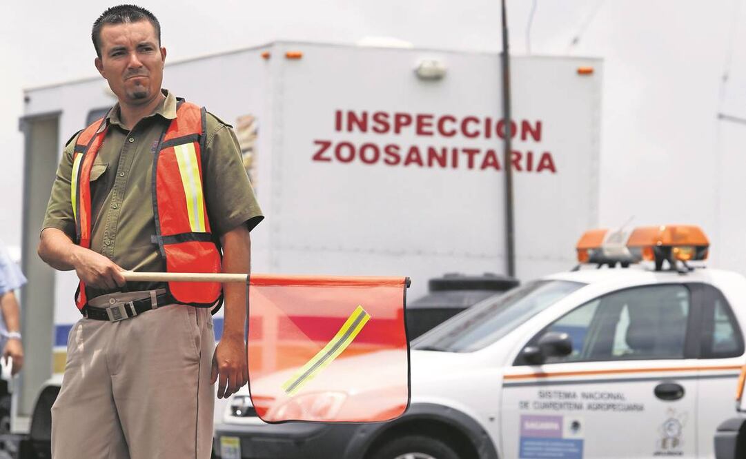 Personal del Servicio Nacional de Sanidad, Inocuidad y Calidad Agroalimentaria detuvo la entrada de productos peligrosos.