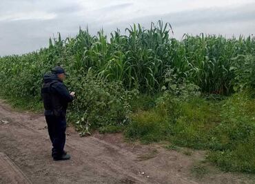 Hallan toma clandestina de hidrocarburo en Huehuetoca, Estado de México