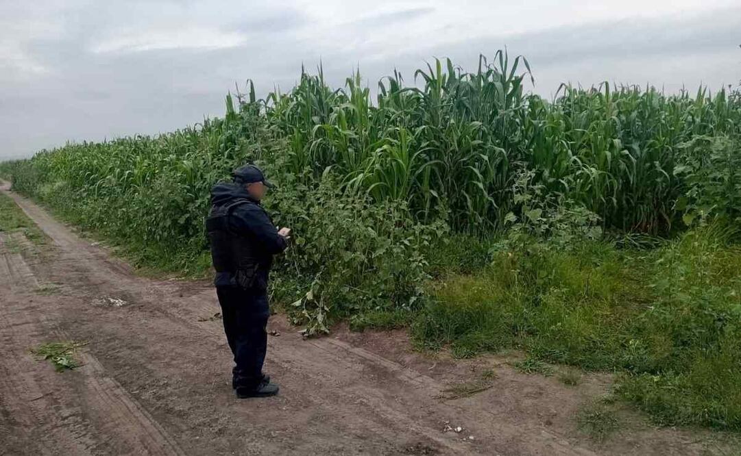 Al interior del pozo, los elementos de la SSEM y la SEDENA observaron un líquido con las características de la gasolina, por lo que procedieron a acordonar el perímetro. Foto: Especial