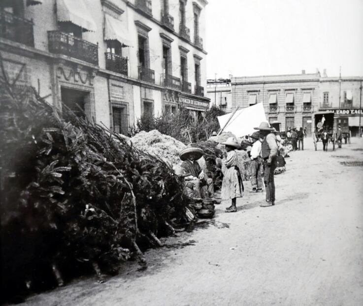 Cuando se daba de comer en diciembre en la Alameda