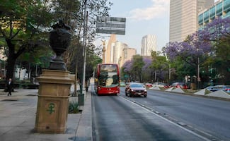 Día de las Madres en CDMX: Metrobús modificará su servicio en tres líneas este domingo 10 de mayo; habrá carrera dedicada a mamá