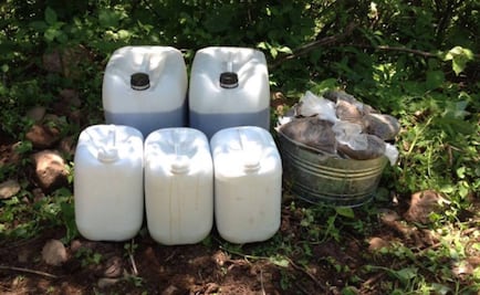 Decomisan 140 litros de morfina en Sinaloa