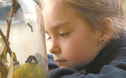 Ante la pandemia, filme trata de sensibilizar con la naturaleza