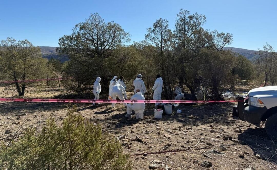 Retoman trabajos forenses en la zona de “El Willy” en Casas Grandes, Chihuahua; localizan osamentas. Foto: Especial