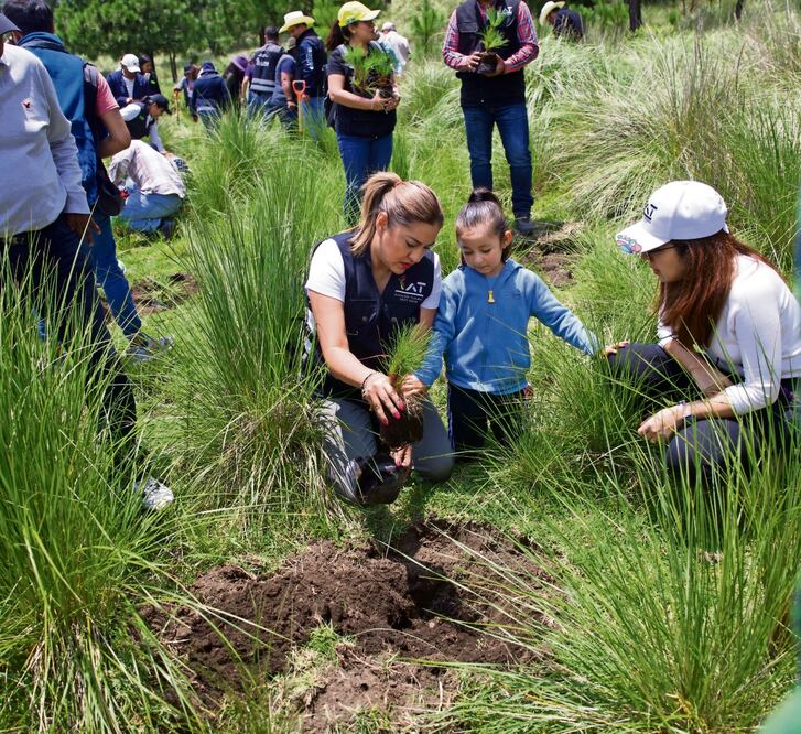 Durante la reforestación, la edil pidió tejer alianzas para recuperar el medio ambiente. Foto: Germán Espinosa / El Universal