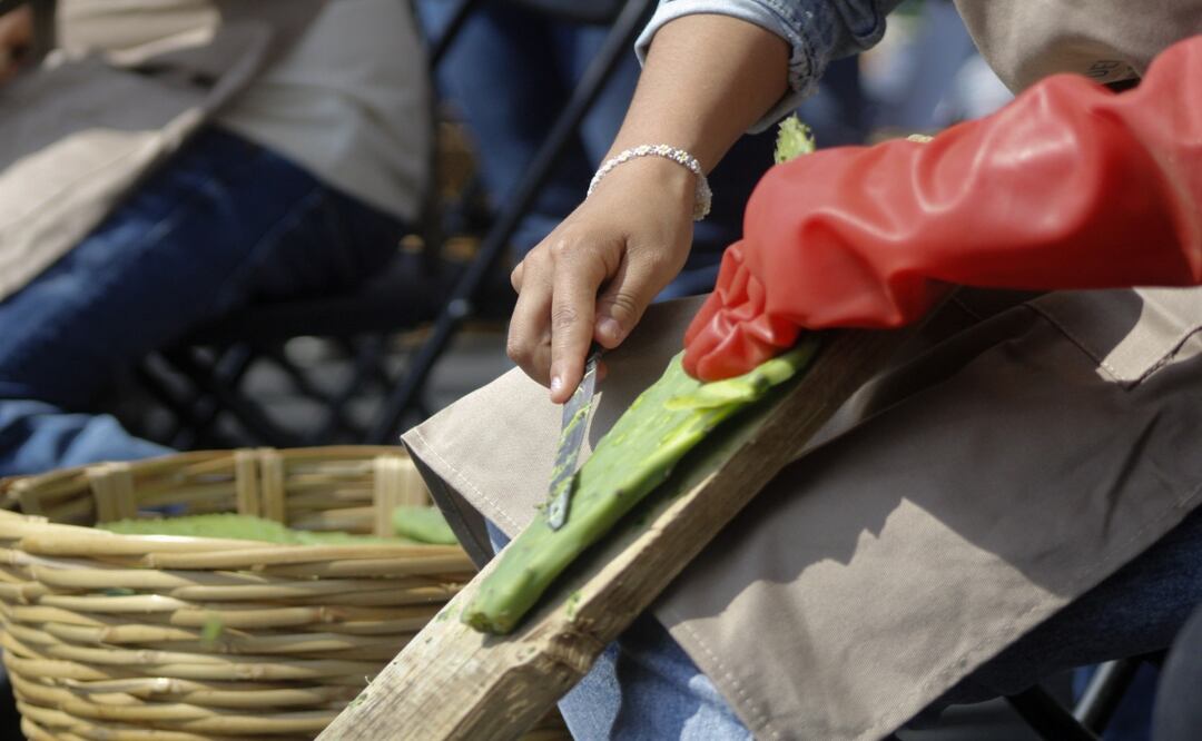 Concurso de Desespinado de Nopal en Feria de Nopal, llevada a cabo el 7 y 8 de junio en el Monumento a la Revolución Fernanda Zamora/ El Universal