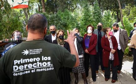 Integrantes del campamento cannábico desairan a senadores que querían su "plantita"