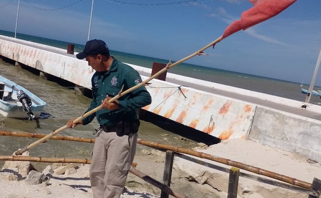 Piden prudencia ante posible marea roja en Yucatán. Foto: especial