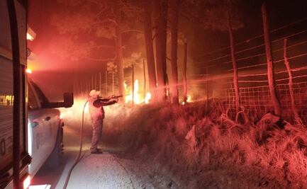 Incendio forestal consume 37 hectáreas de bosque en Veracruz