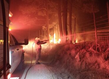 Incendio forestal consume 37 hectáreas de bosque en Veracruz