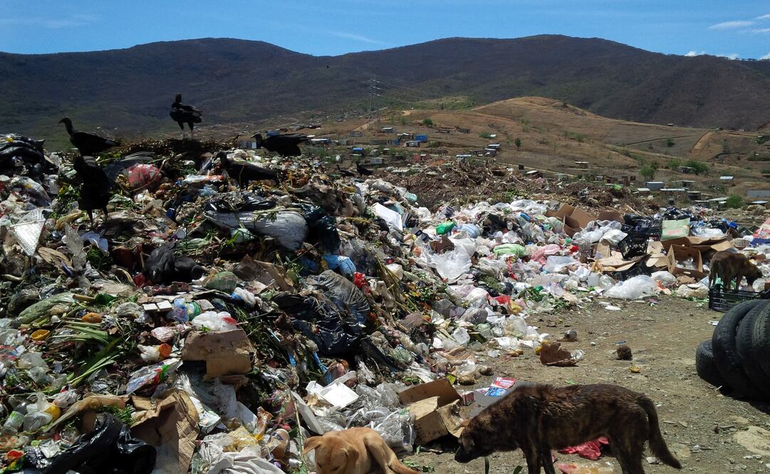 Foto: Lupita Thomas / El Universal