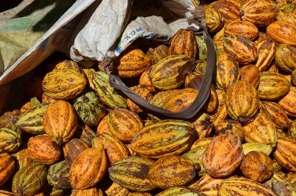 Fotos: Mariana Castillo