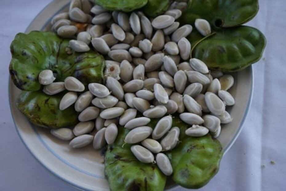 Conoce los platillos más típicos de Zapotitlán de Vadillo, Jalisco