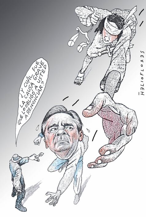 Cartón de HELIOFLORES