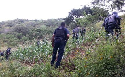 Destruyen 15 plantíos de mariguana en Oaxaca