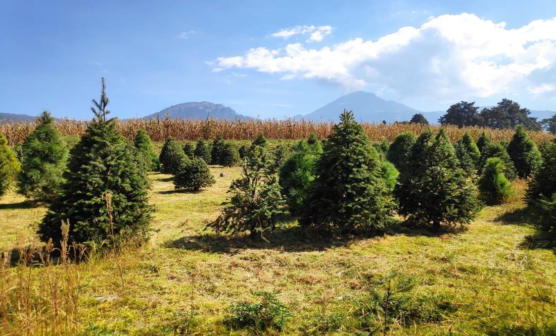 Foto: Emilio Fernández.