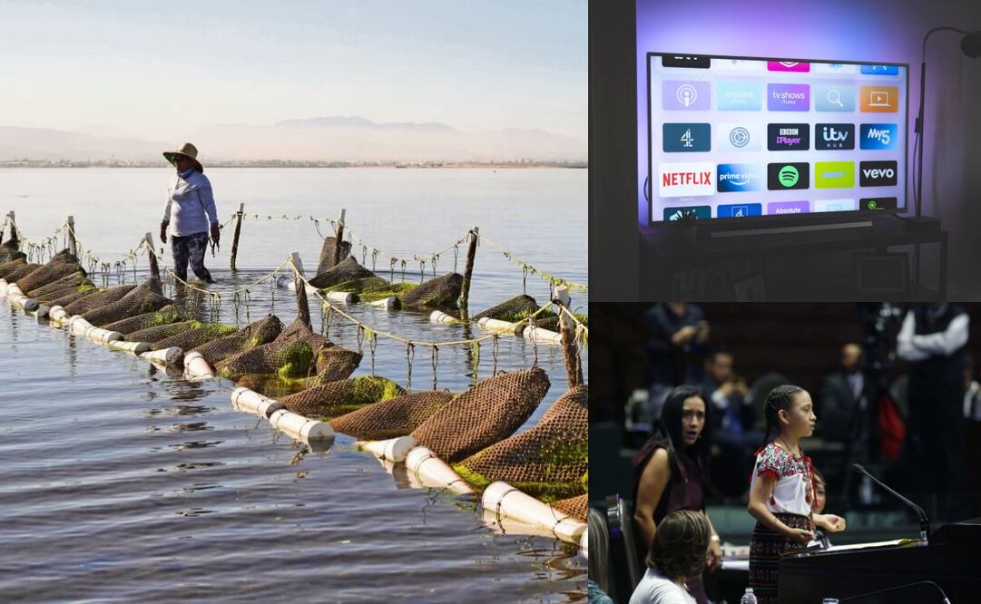 ¿Cuáles son las efemérides de este 21 de noviembre?