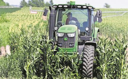 Prevén que México dependa del maíz y del trigo importado