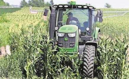 Prevén que México dependa del maíz y del trigo importado