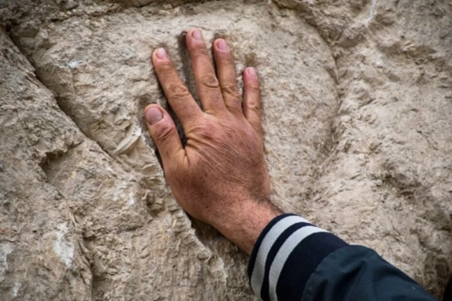 Arqueólogos descubren una enigmática mano tallada en un antiguo foso de piedra en Jerusalén: “Es un misterio”