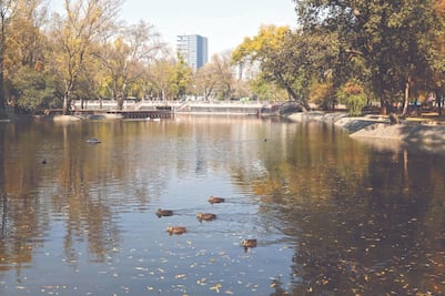 Horarios para visitar el Zoológico de Chapultepec tras su reapertura