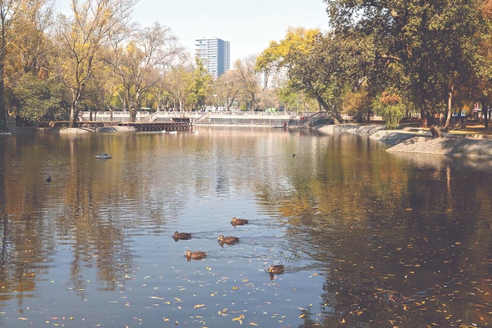 A partir del 9 de marzo volvió a abrir sus puertas el Zoológico de Chapultepec. / Foto: Archivo El Universal