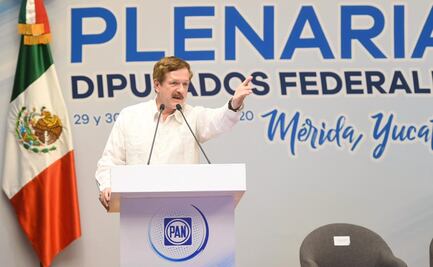 Insabi, un insulto para los mexicanos: Romero Hicks