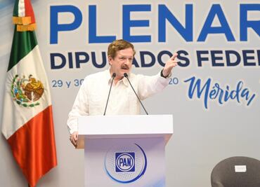 Insabi, un insulto para los mexicanos: Romero Hicks