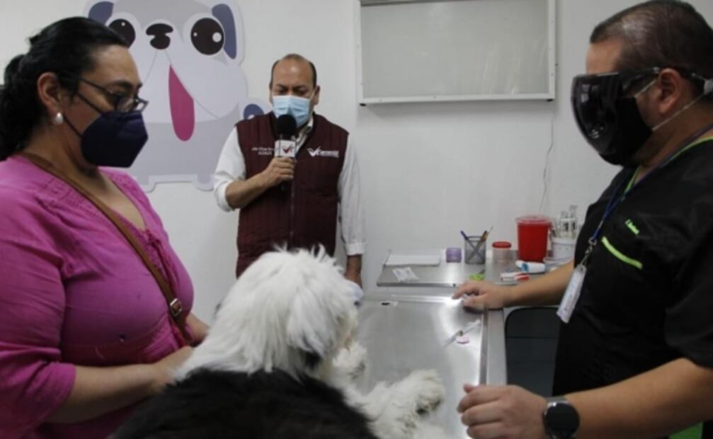 Rehabilitan clínica veterinaria en Venustiano Carranza 