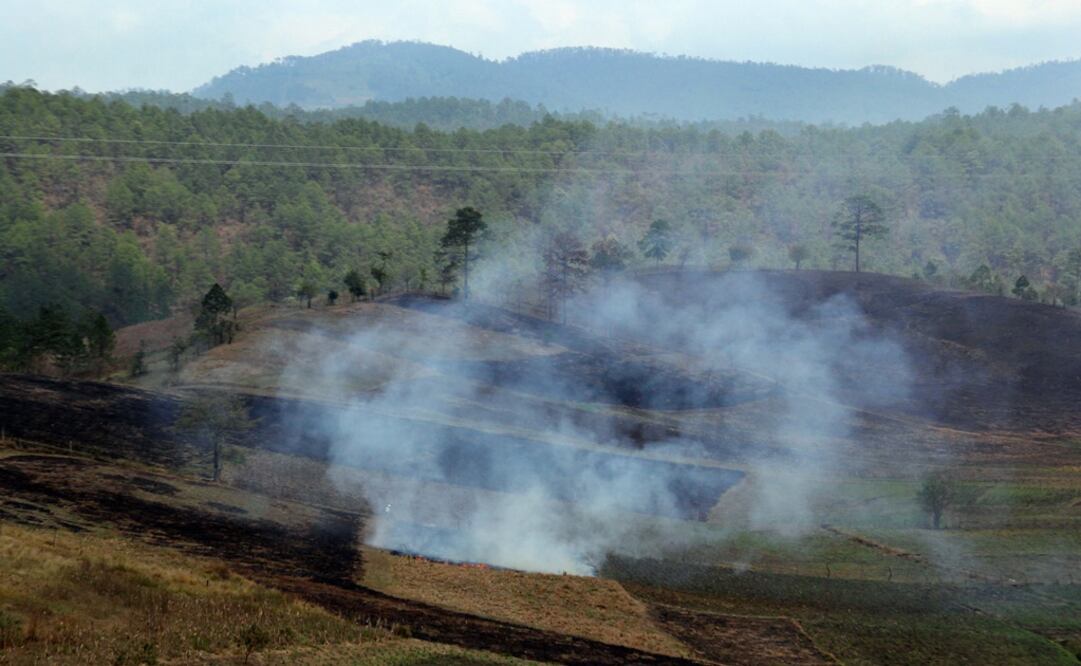 Foto: Archivo/ EL UNIVERSAL                          