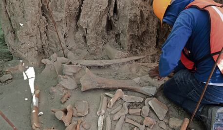 ¿Llegará la transformación a la arqueología mexicana?