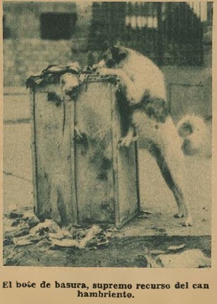 Desde los años 30 defendían a los perros