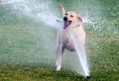 ¡Calorón! Prevén hasta 28 grados para este 6 de mayo