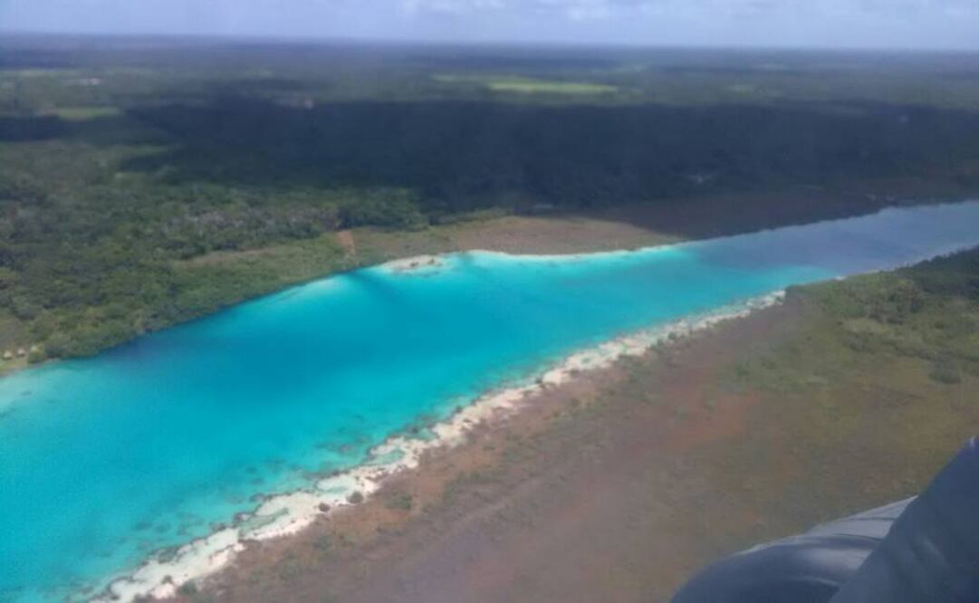 Tomada de @PROFEPA_Mx